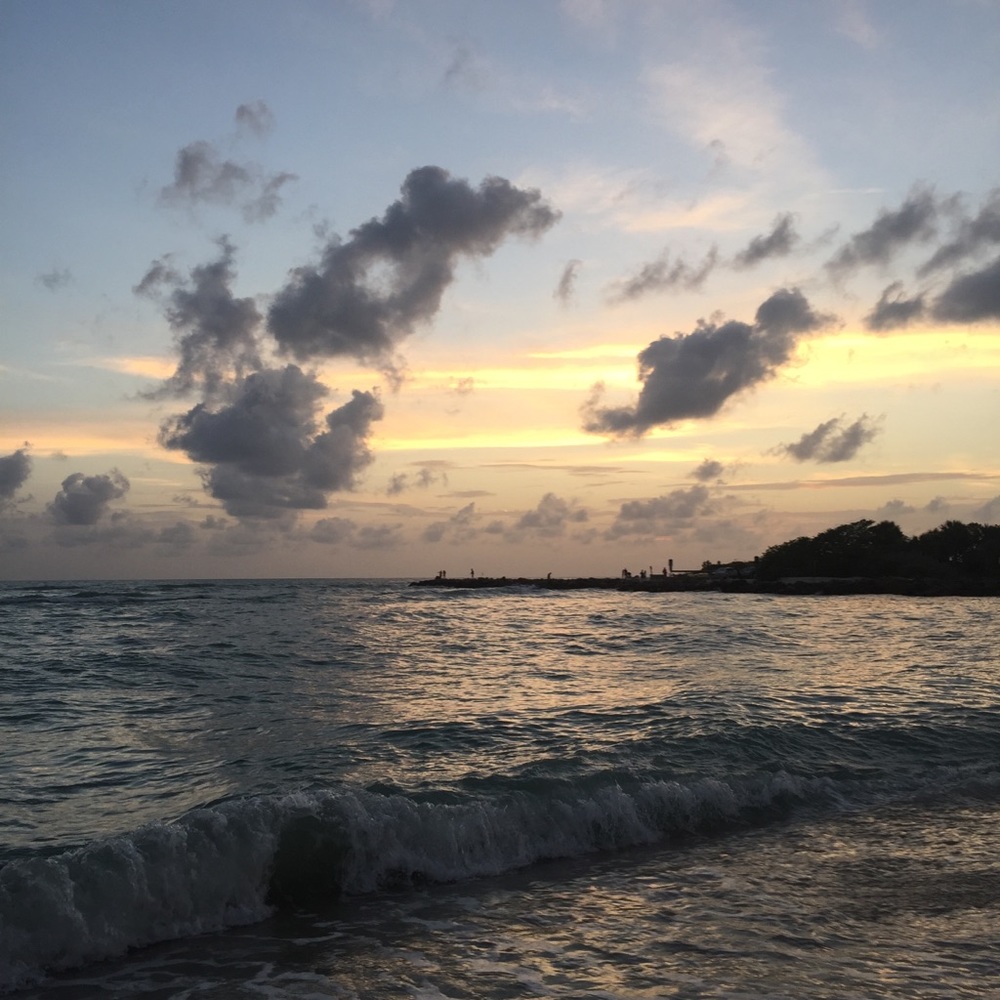 Meet your Posher, Callie